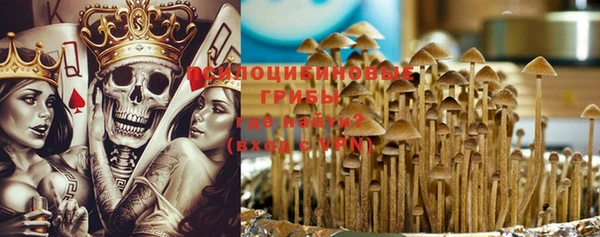 ГАЛЛЮЦИНОГЕННЫЕ ГРИБЫ Кодинск
