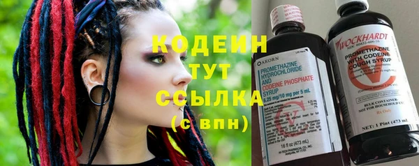 ГАЛЛЮЦИНОГЕННЫЕ ГРИБЫ Кодинск