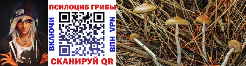 Псилоцибиновые грибы мицелий  Купить  Павлово 